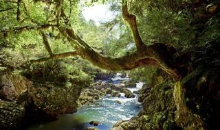 亚马逊联系电话 亚马逊联系电话